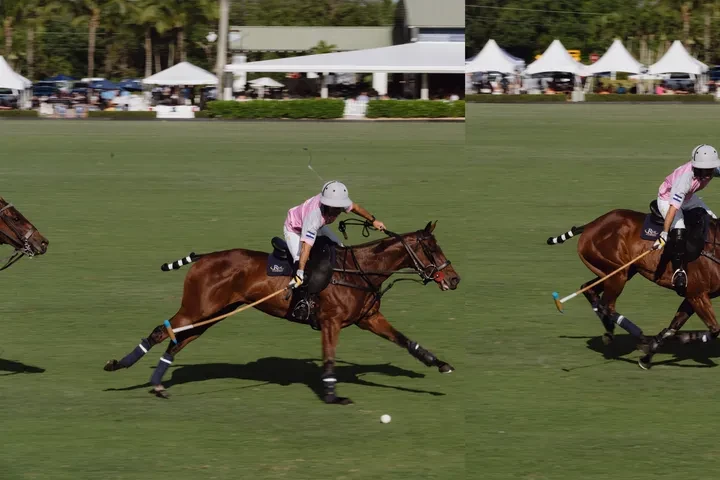 The Betrayal Behind Polo's Genetic Revolution: The Stolen Legacy of Cuartetera